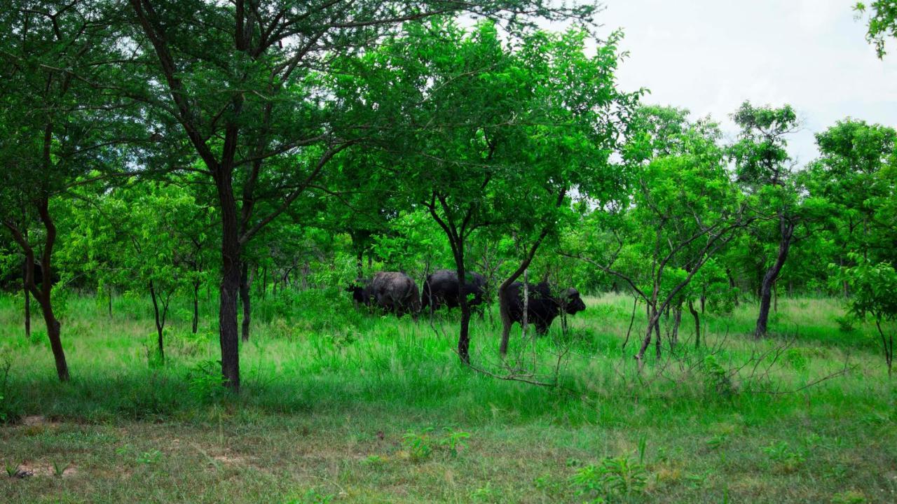 Mantis Lodge & Camping Site Morogoro Екстериор снимка